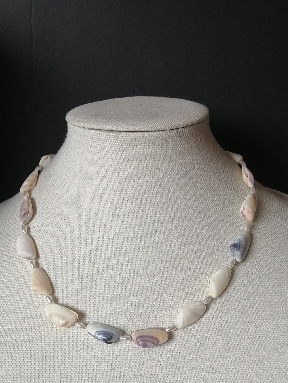 Vintage Handmade Bohemian Natural Sea Shell Donax Vittatus Necklace